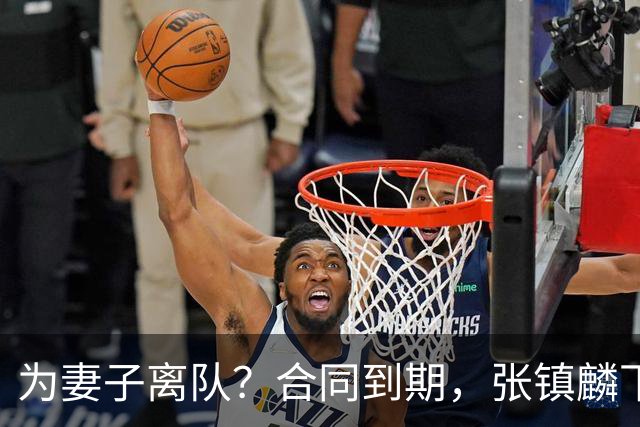 为妻子离队？合同到期，张镇麟下家4选1，广东2队有机会